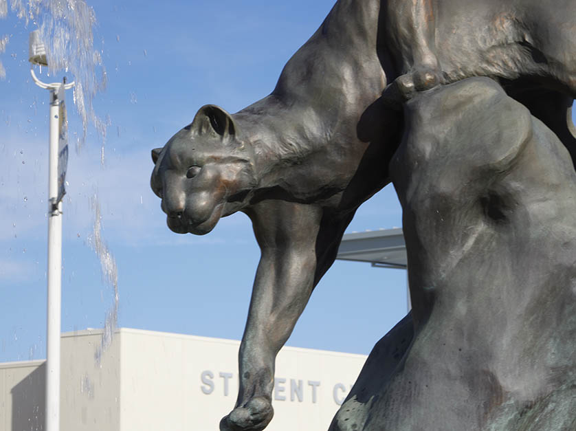 Outdoors bronze-color sculpture of cougar climbing down a rock with water spraying through the air next to it.