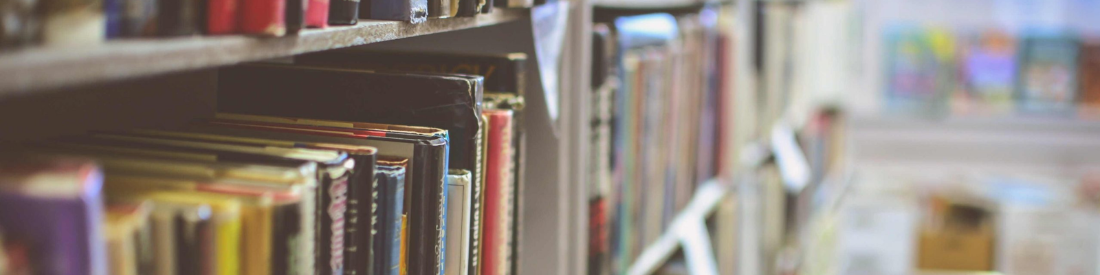 Library bookshelf fading into a white background. Image by Jamie Taylor - Unspash Me